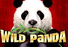 Wild Panda Pokie